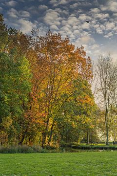 Herfst in het Stolwijks Park van Rossum-Fotografie