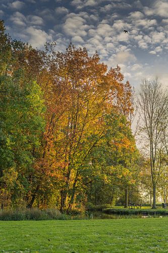 Herfst in het Stolwijks Park
