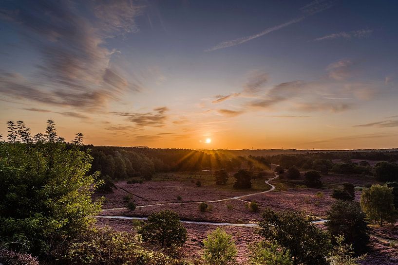 Sunrise on Brunsummer Heath... by Maja Mars