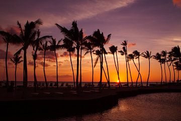 Zonsondergang Hawaii von Tessa Louwerens