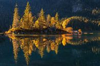 Small island on the Eibsee in Bavaria at the foot of the Zugspitze at sunrise in autumn by Daniel Pahmeier thumbnail