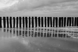 Beiträge von Huib Vintges