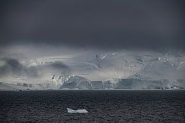 Landschaft der Antarktis – Stille und Erhabenheit im Eis von Nanda Bussers