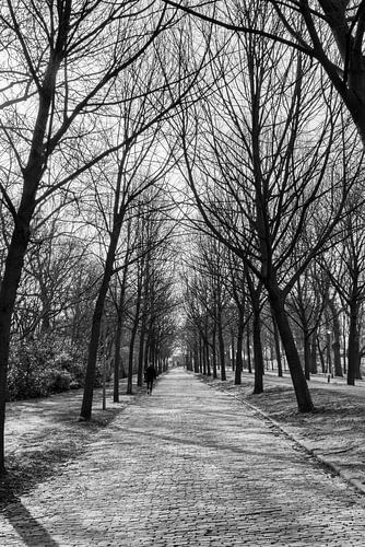 Eindeloos wandelpad zwart/wit