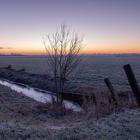 A cold morning in the country von Hessel Hogendorp