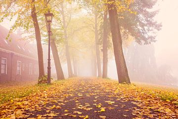 Herfst & mist van Chris Snoek