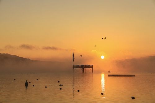 Überlingensee bij Bodman met duikplatform en watervogels - Bodenmeer