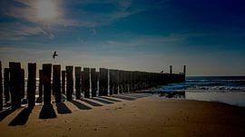 Golfbrekers Domburg
