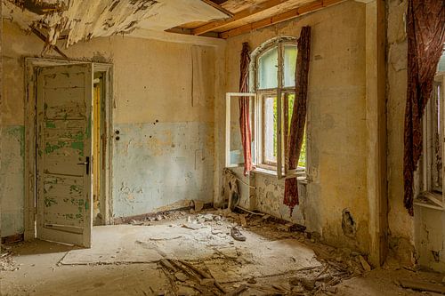 The beauty of decay.