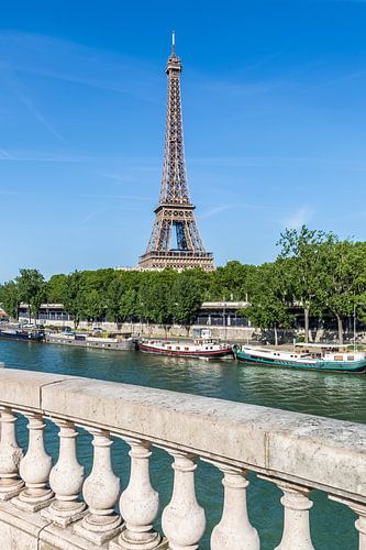 PARIS Eiffeltoren & Seine