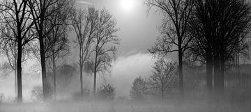 Opkomend mist op een ijzige zonnige morgen aan de Dender