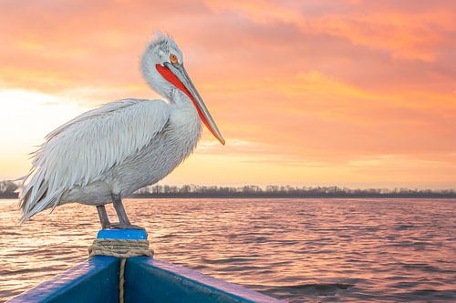 Hier zit ik goed ;-)