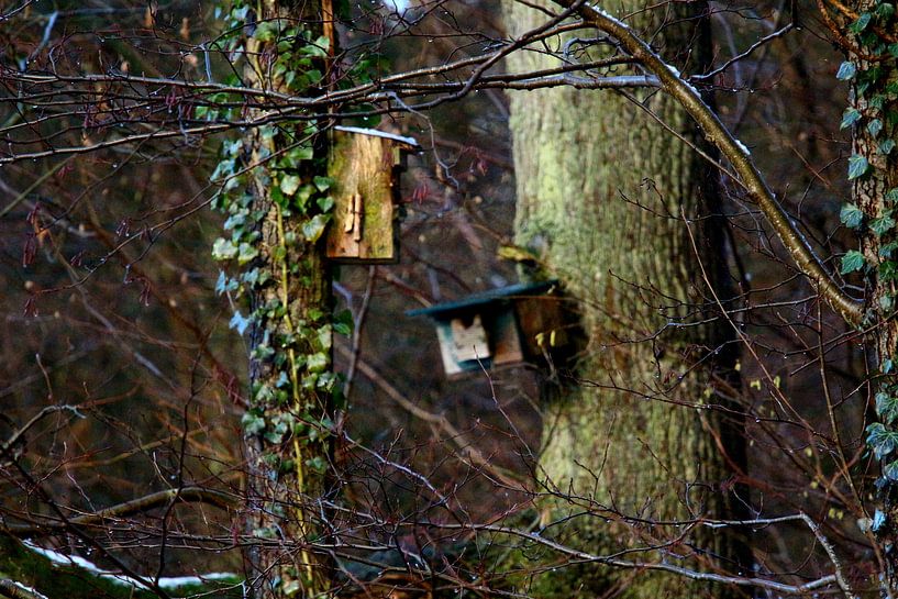 Het Vogelhuisje. by Møre To Explore.