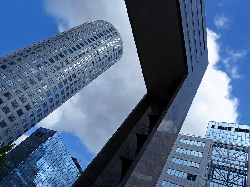 Down Under (Weena Rotterdam) par Caroline Lichthart