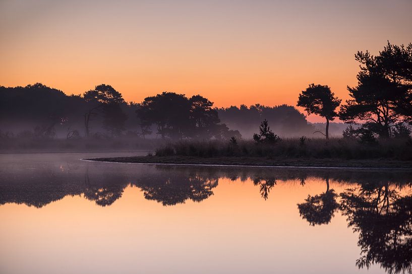 Strabrechtse Heide 245 by Deshamer