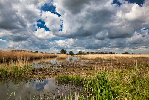 Munnikenland, Bommelerwaard