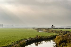 Pieterbuurstermaar in de herfst sur Marnefoto .nl