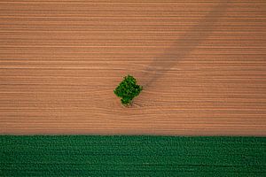 Landschap akker met boom van Kas Maessen