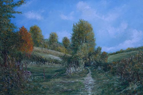 Warm nazomerlandschap van het Gerendal met een uitnodigend pad – een sfeervol schilderij vol rust, kleur en natuurbeleving.