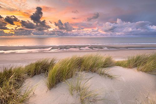 Sunset View from dune top over North Sea in Zeeland, Netherlands