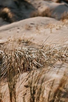 Winter beach walks #4 by Elise van Gils