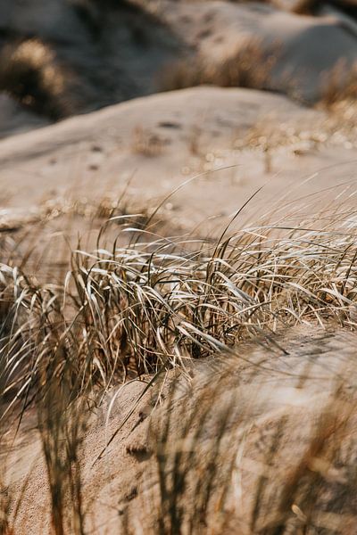 Winter beach walks #4 by Elise van Gils