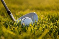 Golfball im Gras
