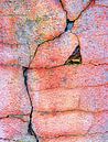 Fente (fissure dans un mur rose) par Caroline Lichthart Aperçu