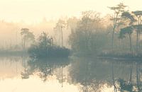 Nebliger Morgen