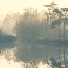 Misty Morning by M. Cornu