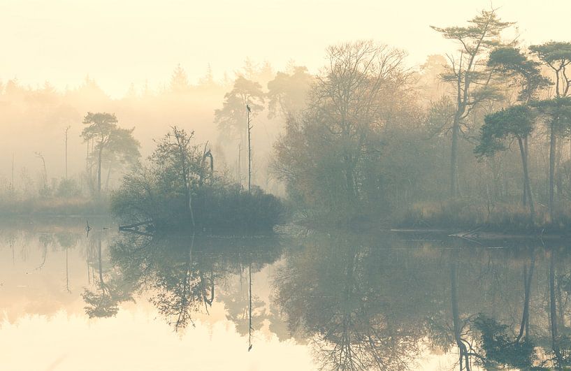 Matin brumeux par M. Cornu