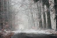 Winterwandeling in het bos van Paul Muntel thumbnail