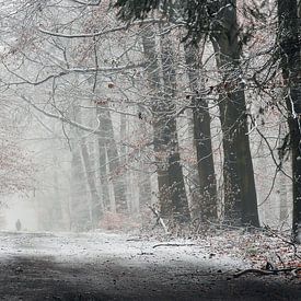 Winterwandeling in het bos van Paul Muntel