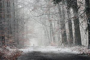 Winterwandeling in het bos sur Paul Muntel