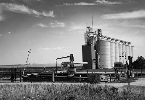 Silos à grains sur la côte