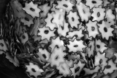 Star Gear Shaped Raw Crackers Black and White Pattern