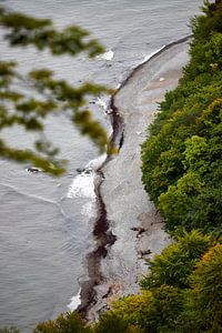 Là où la forêt rencontre la mer Baltique, Rügen