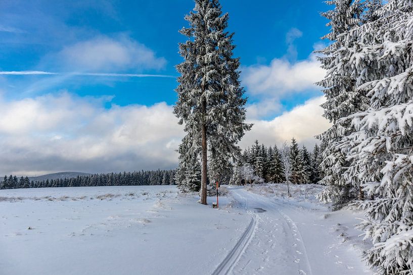First winter hike on the Rennsteig by Oliver Hlavaty