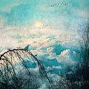 HEAVENLY BIRDS III-B van Pia Schneider thumbnail