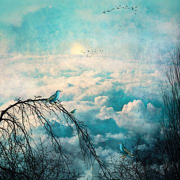 HEAVENLY BIRDS III-B von Pia Schneider