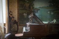 Piano in woonkamer vol antiek van Perry Wiertz thumbnail