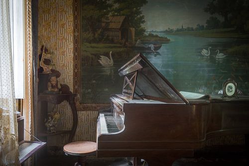 Piano in living room full of antiques by Perry Wiertz