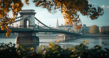 Elegante brug, rivieroversteek van fernlichtsicht