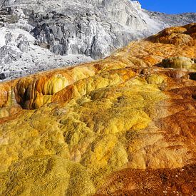Sinter Terraces in Montana - Mammoth Hot Springs by Thomas Zacharias
