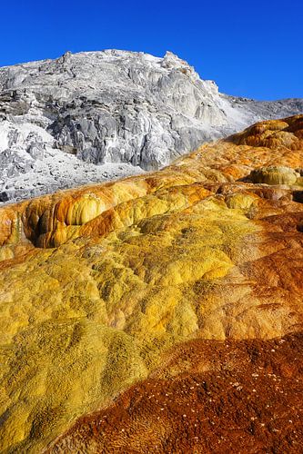 Sinterterrassen in Montana - Mammoth Hot Springs