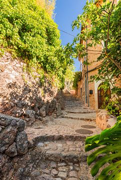 Oud beroemd dorp Fornalutx op het eiland Mallorca, Spanje van Alex Winter