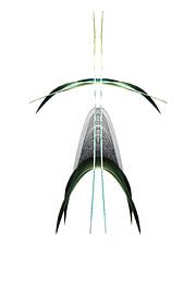 Abstract_4 by Sebastian Vietz