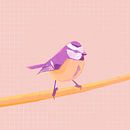 Pimpelmees, vogel illustratie van Femke Bender thumbnail