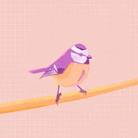 Blue tit, bird illustration