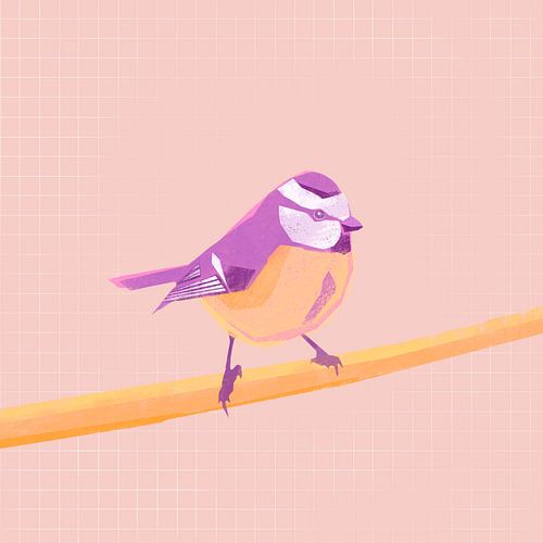 Mésange bleue, illustration d'un oiseau